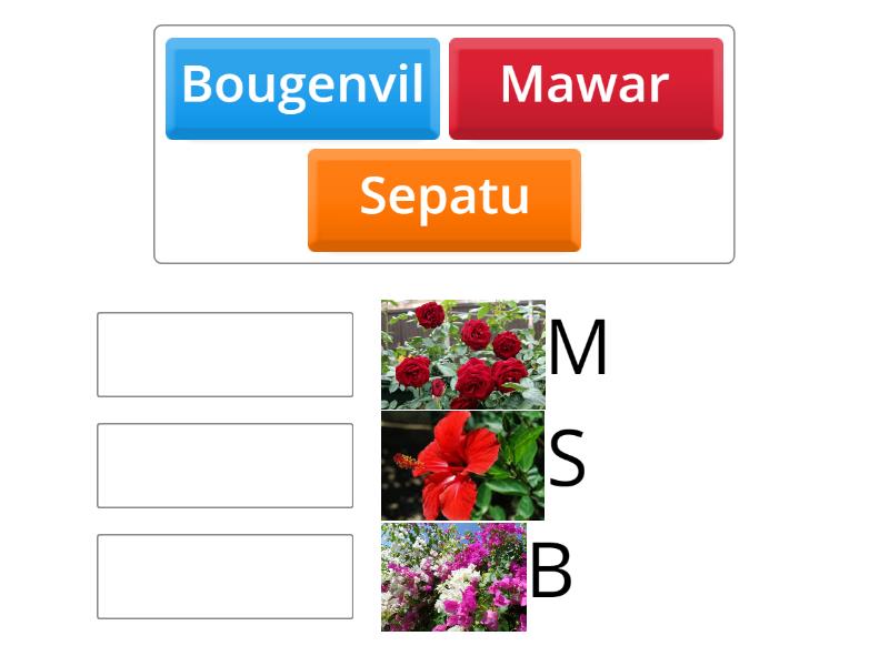 MEMASANGKAN HURUF AWAL DENGAN KATA - Match Up