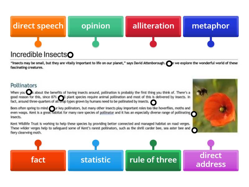 Finding language features in a text - Labelled diagram