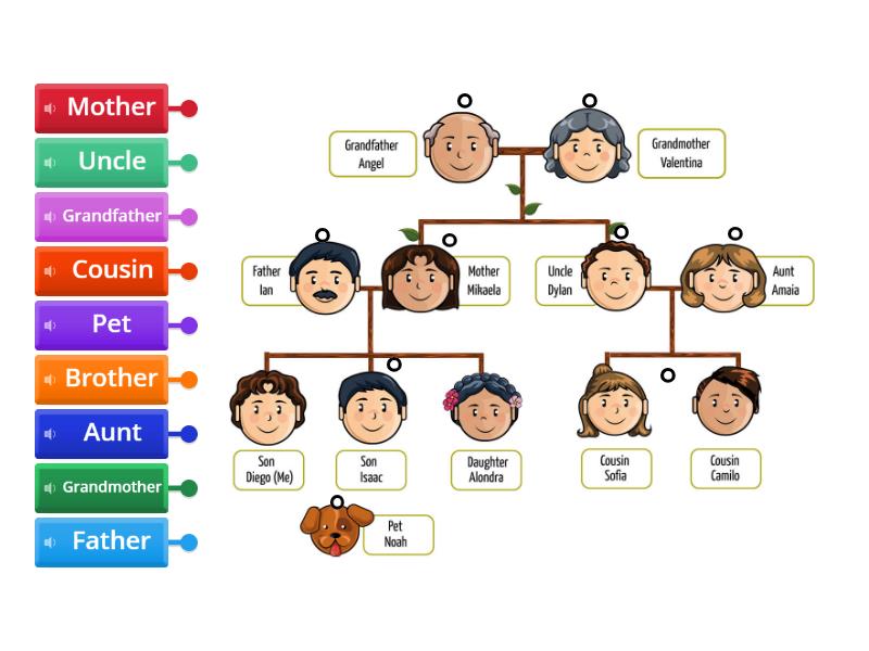 Family Members - Labelled diagram