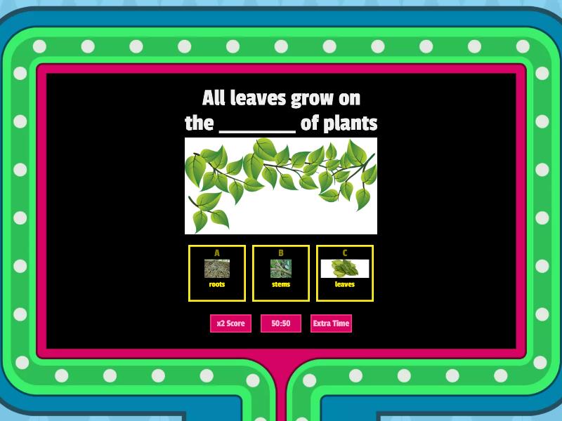 science-class-2-chapter-5-leaves-mcqs-concurso-de-preguntas