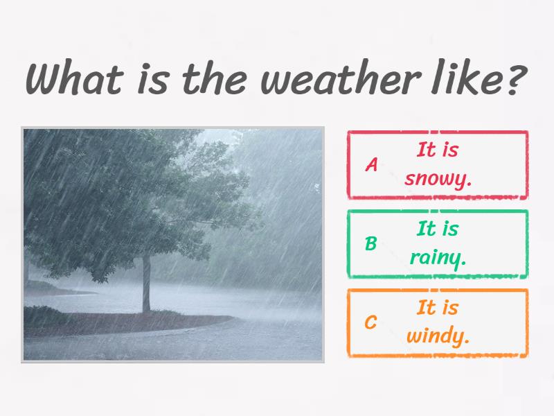 What is the weather like? - Quiz