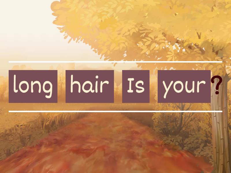 writing-unit-4-ex1-reordenar