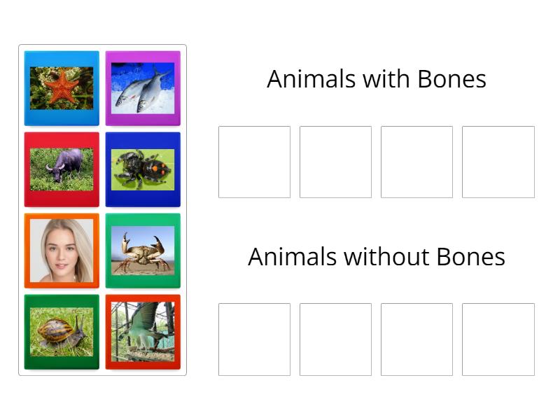 Science 6 - Group sort