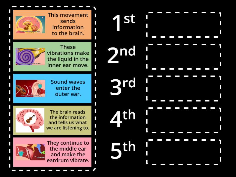 The hearing process - Rank order