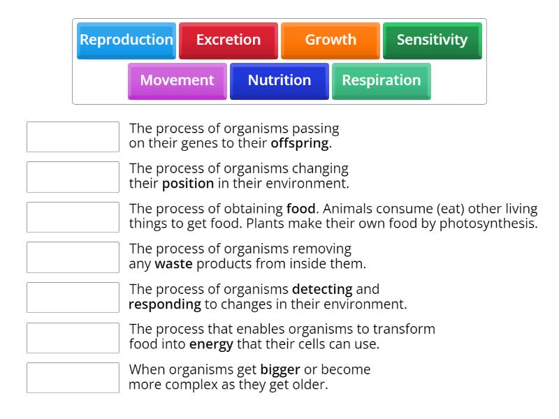 The 7 life processes definition matchup match up