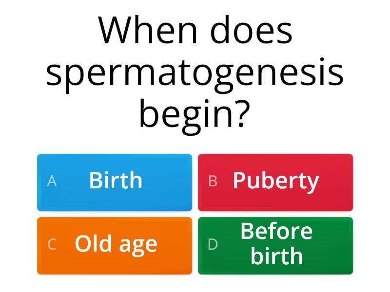 Spermatogenesis And Oogenesis Quiz