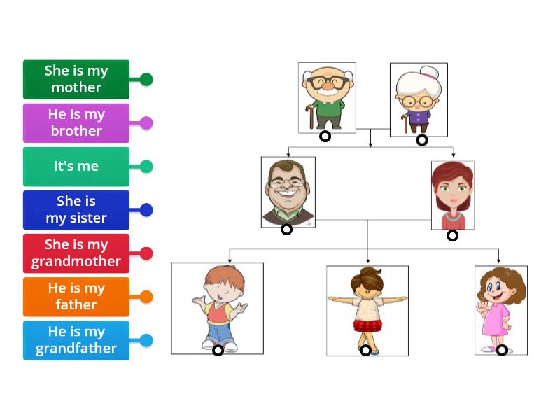 Family - Labelled diagram