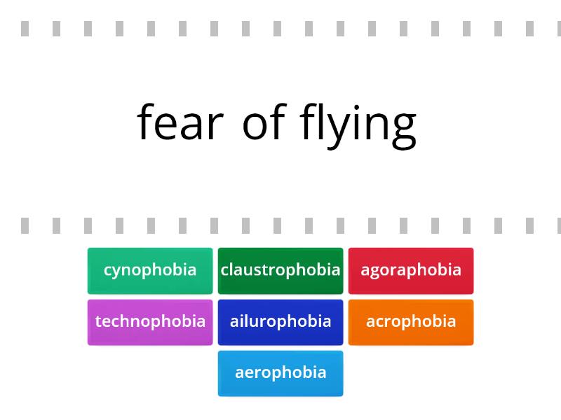 5 subtypes of phobias