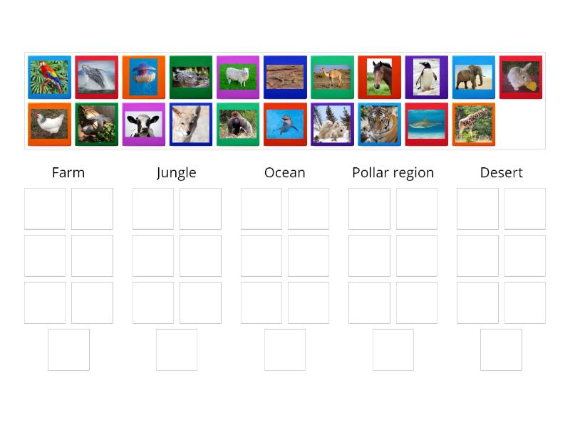 Where do these animals live? - Group sort