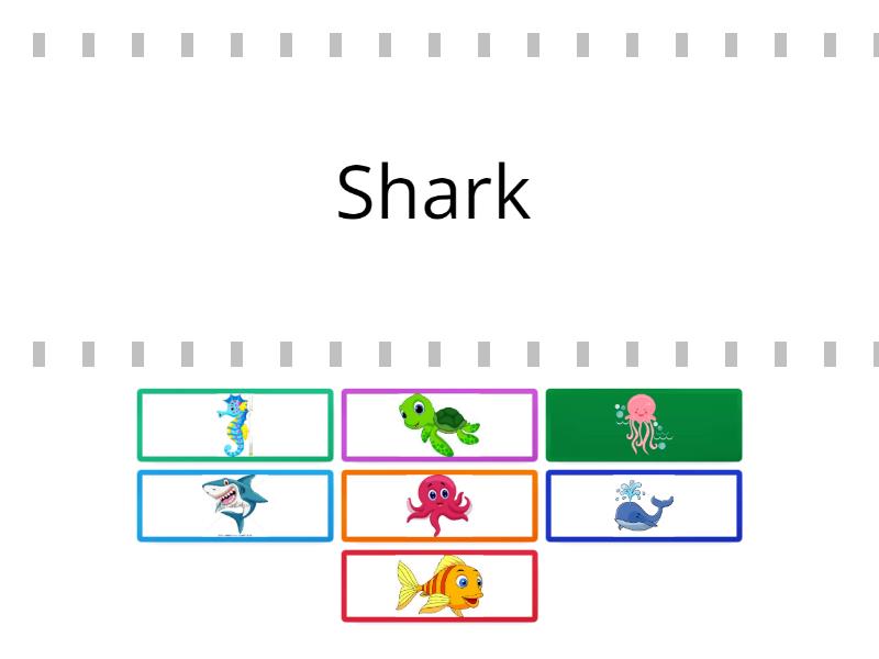 SEA ANIMALS FIND THE MATCH - Cada oveja con su pareja