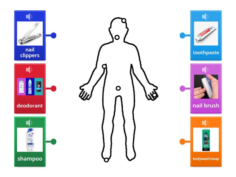 Personal hygiene items - Labelled diagram