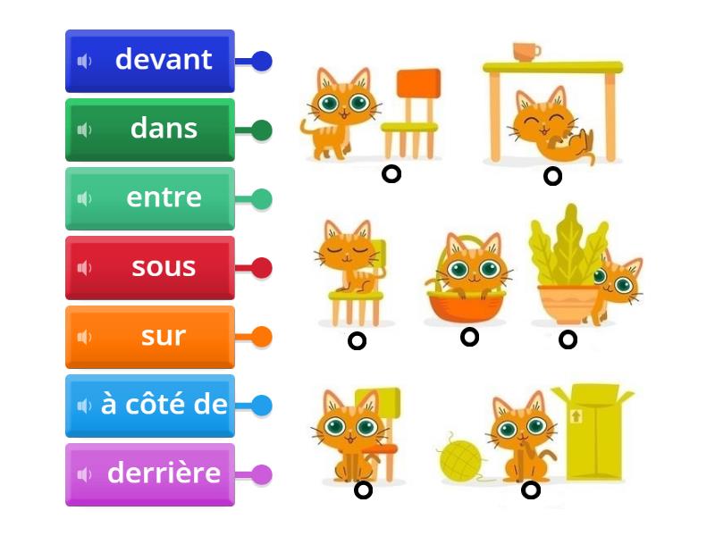 Prepositions of place / French - Labelled diagram