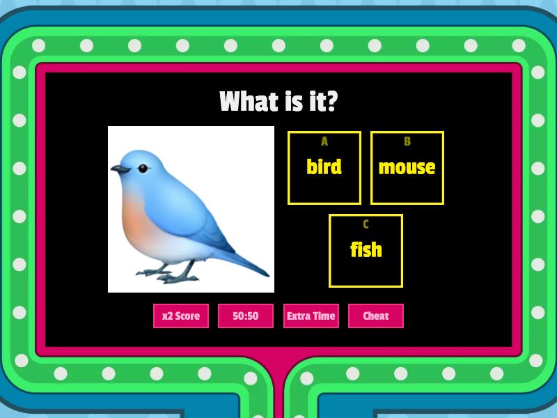 Animals Gameshow Quiz