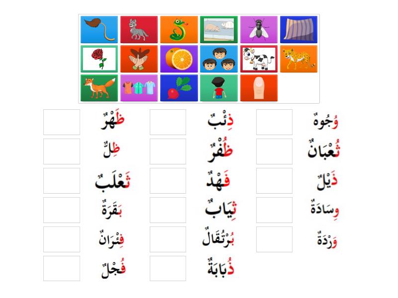 ف - و - ب - ظ - ذ - ث HW 2ND AND 3RD - Match up