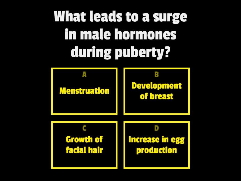 group-bee-review-quiz