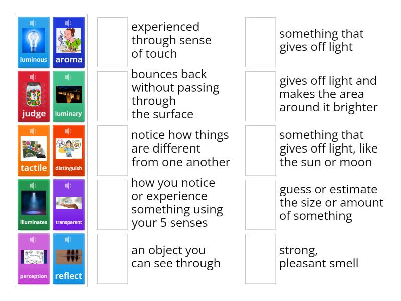 Critical Vocabulary for What Are The Five Senses? and The Science ...