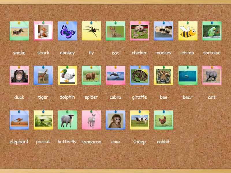 Wider World 2 ( unit 3) - Match up