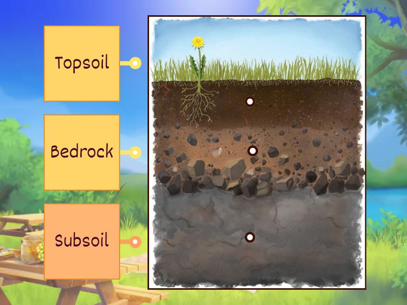 Soil visual data 3