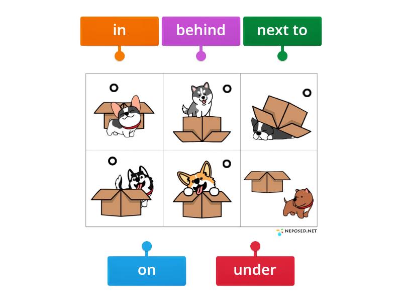 Prepositions in on under behind