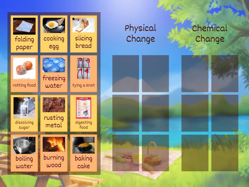 Physical or Chemical change? Group sort
