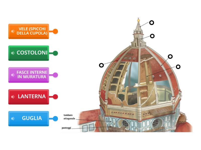 Cupola Di San Pietro Michelangelo Riassunto LA CUPOLA DI SAN PIETRO DI MICHELANGEO - Labelled diagram