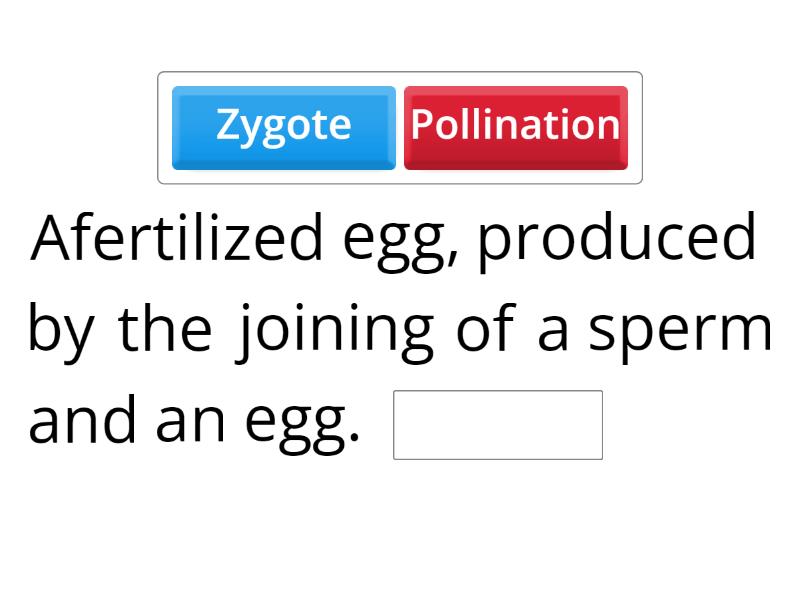 Plant Structures for Reproduction - Complete the sentence