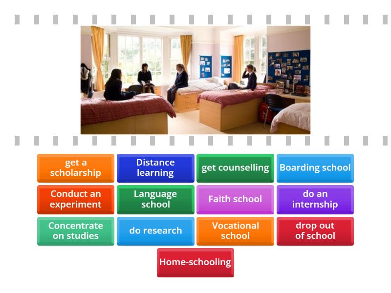 School types - Find the match