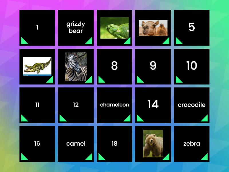 Wild animals review - Matching pairs
