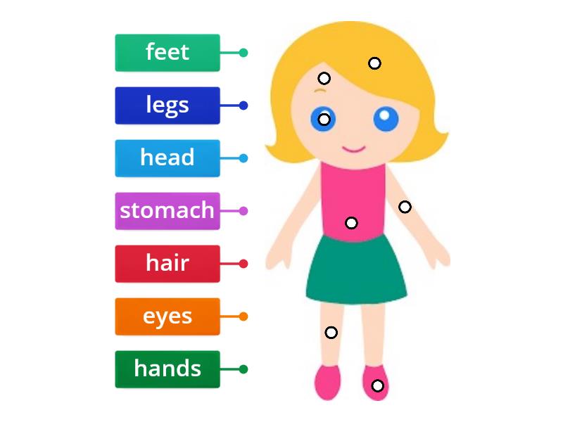 label body parts - Labelled diagram