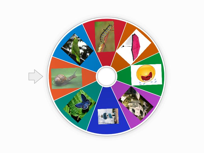 Palabras con la letra r principio , medio o final - Spin the wheel