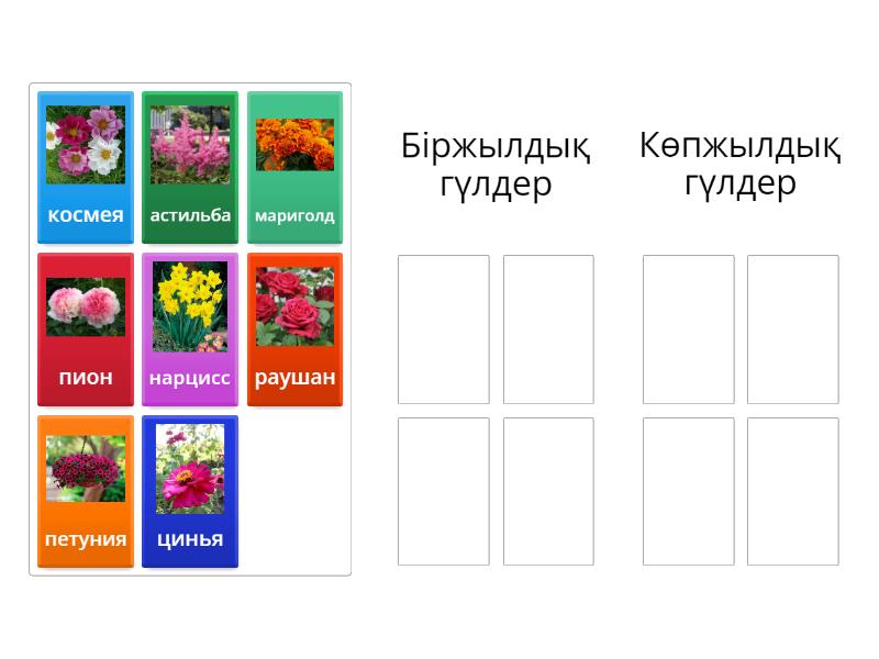 Сәндік гүлдер түрлері. Гүл өсіру шаруашылығындағы көктемгі жұмыстар ...