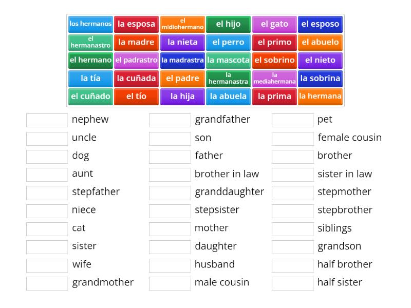 Family Vocabulary - Match up