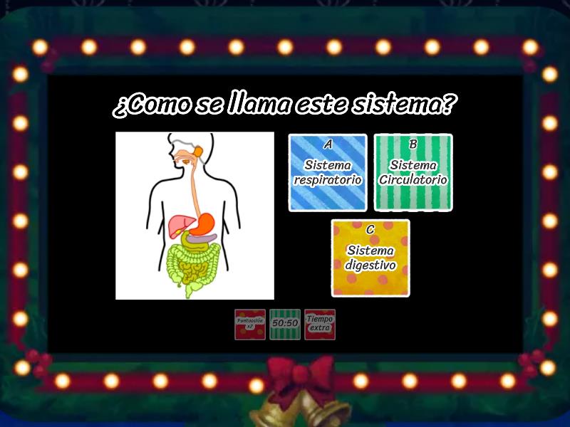 Interaccion Sistema Digestivo Y Circulatorio - Gameshow Quiz