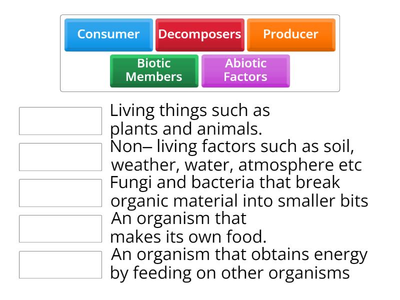 Describe The Components Of An Ecosystem