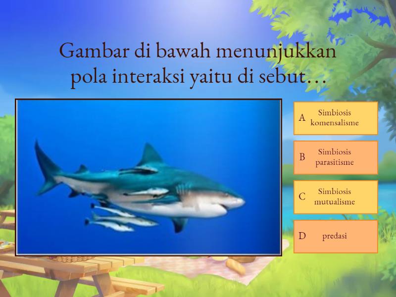 Perhatikan Gambar Di Bawah Ini Quiz