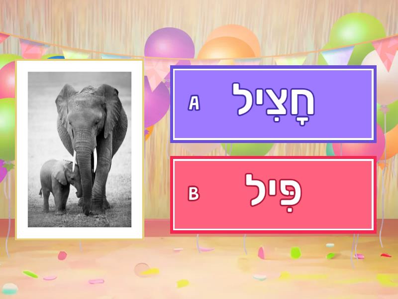 חיריק וגם אות צ ו-ץ - Quiz