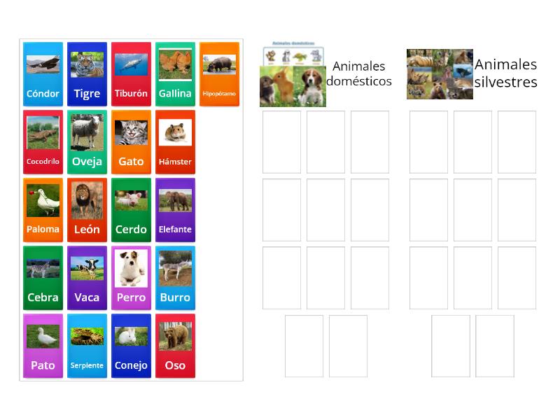 Evaluación Animales domesticos y animales salvajes - Group sort