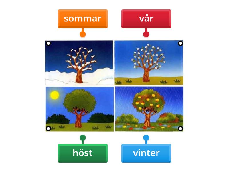  rstider Ny Version Labelled Diagram