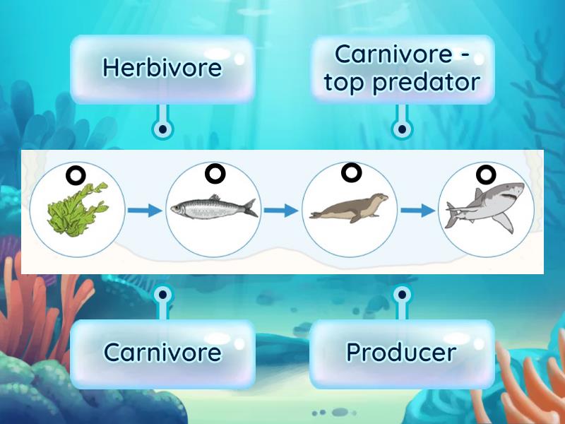 Label Diagram (4th grade science) Biology Diagrams