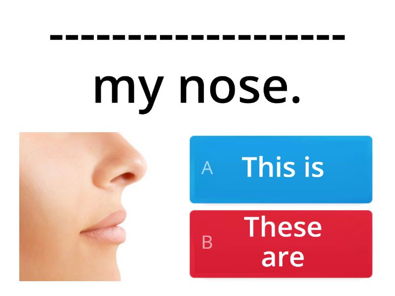 this-is-my-nose-quiz