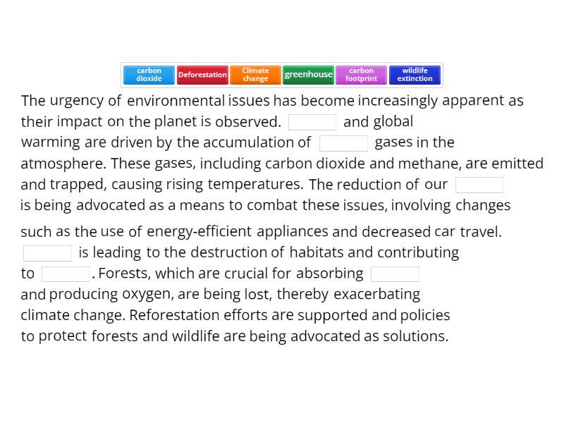 Environmental Issues and What Can Be Done - Completar la frase