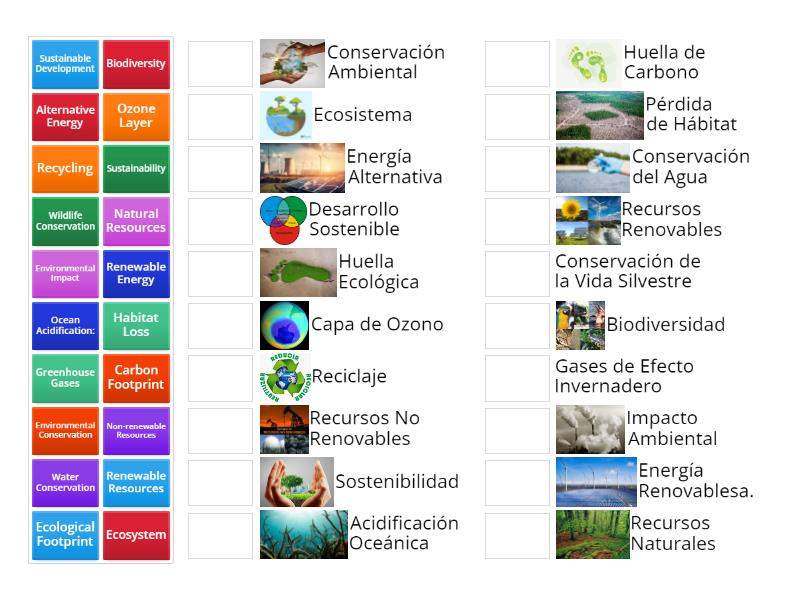 kinds of environmental problems