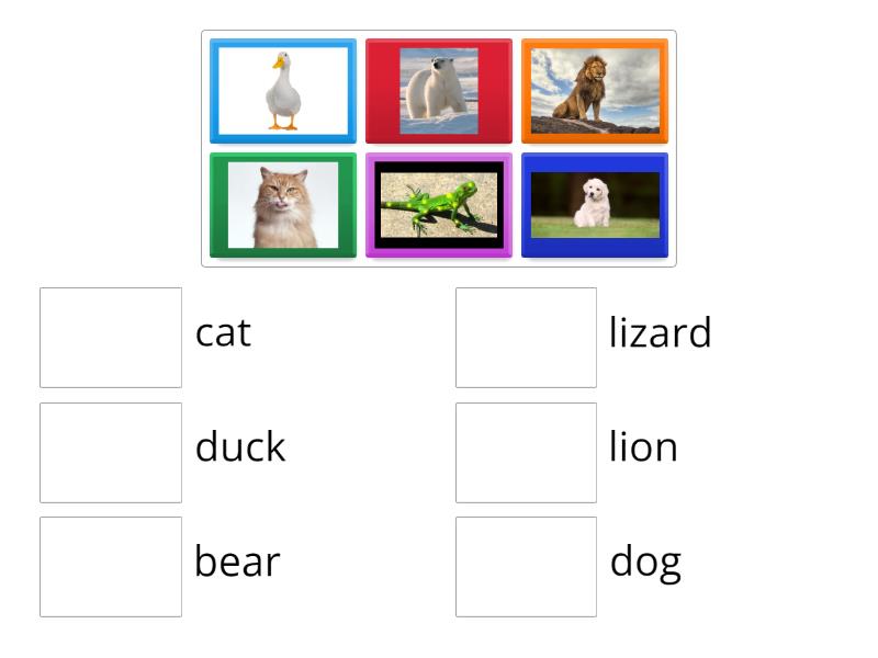 animals - Match up