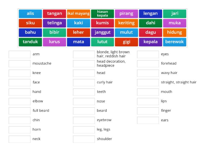 Bagian Tubuh, Muka Topeng & Kata Sifat - Match up