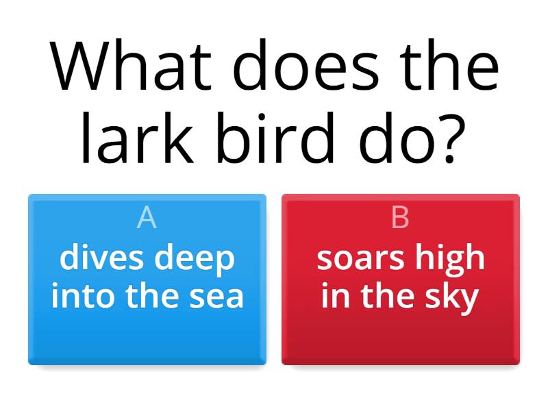 A Lark Quiz