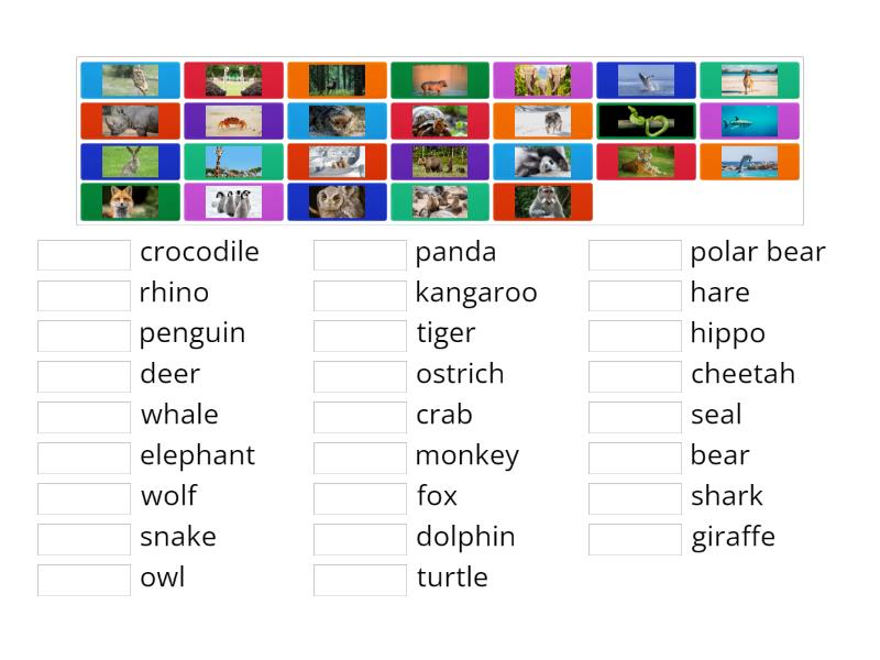 Wild animals - Match up