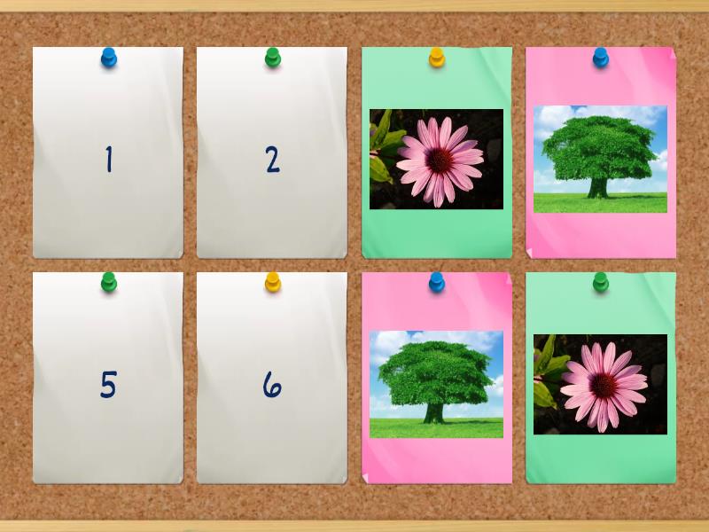 PRE-KIDS - HI KIDS 2 - REVISION 4 - Matching pairs