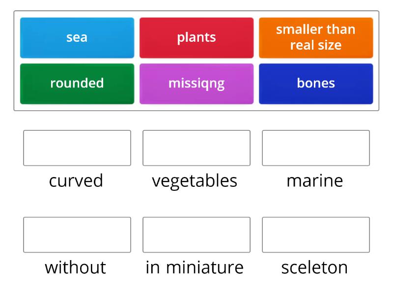 ielts 8 test 4