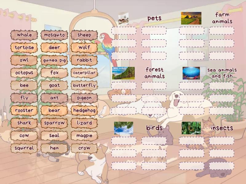 Animals - Group sort