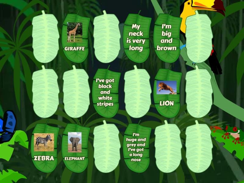 WILD ANIMALS Matching pairs